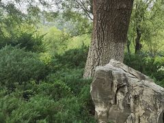 -滨河世纪广场公园