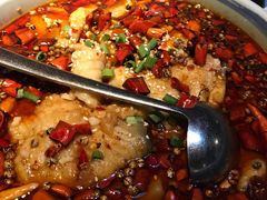 -胡桃里音乐酒馆(曲江店)