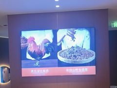 -北大荒人•新东北菜(青岛银座店)