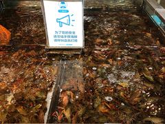 -盒马X会员店(王府井奥莱UP TOWN店)