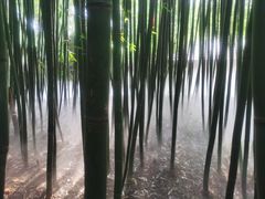-竹泉村旅游度假区