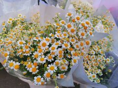 -循礼门鲜花花市(武汉循礼门店)