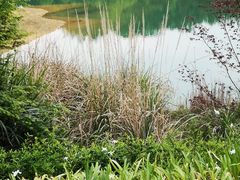 -龙川湾千岛湖国际垂钓中心