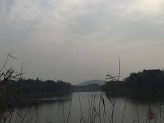 -上海市保健医疗中心(华东疗养院)