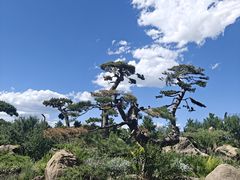 -罗红摄影艺术馆