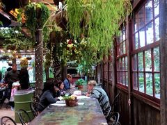 -The Grounds of Alexandria