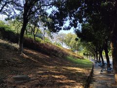 -华南师范大学(广州大学城校区)