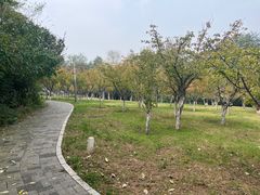 -大连植物园