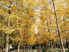 -韩城古城