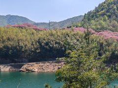 -四明山国家森林公园