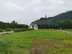 -南沙蒲洲花园