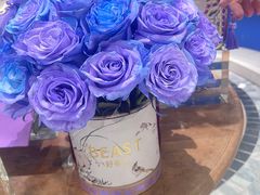 -BEAST野兽派(上海浦东嘉里城店)