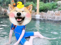 -山湖温泉