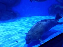 -上海海昌海洋公园-冰山北极馆