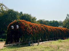 -雀儿山公园