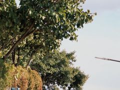-南诏风情岛
