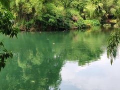 -贵阳市花溪国家城市湿地公园