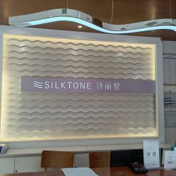 -SILKTONE诗丽堂美容