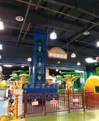 -维佳童话镇演出现场(徐东店)