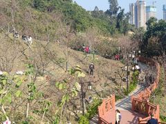 -小南山公园