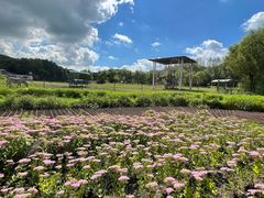 -哈尔滨北方森林动物园