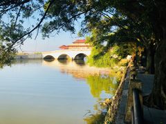 -大湾区中央湿地公园