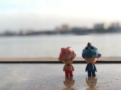 -白天鹅宾馆·流浮阁咖啡厅