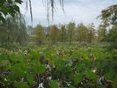 -溱湖国家湿地公园