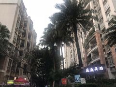 小区环境-保利花园