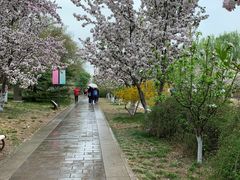 -元大都城垣遗址公园