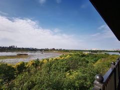 -天津东丽湖风景区