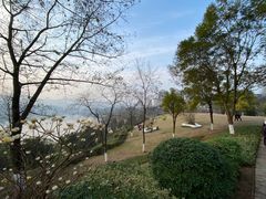 -金海湾滨江公园