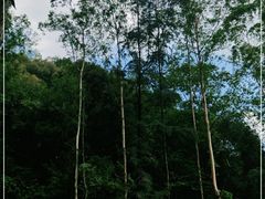 -火炉山森林公园