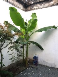 点击看大图 -两间半汉服工作室(平江路店)