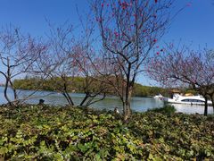 -知味观(湖滨总店)