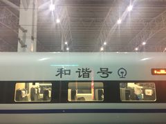 -海口东站