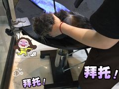 -Oh My Dog宠物沙龙(伊珊娜皮毛护理店)