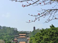 -南沙天后宫景区
