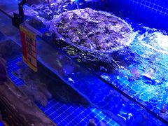 -渔民船说·北塘海鲜·天津菜·海肠捞饭(北塘古镇店)