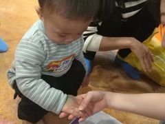 教室-金宝贝早教(南山花园城店)