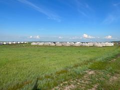 -呼伦贝尔大草原巴尔虎蒙古部落民俗旅游度假景区