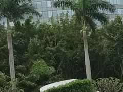 -深圳大梅沙京基洲际度假酒店