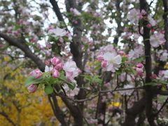 -元大都城垣遗址公园