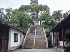 -苏州上方山国家森林公园