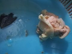 -大润发(花雨店)