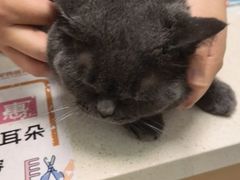 -瑞派康怡24h宠物医院·犬猫医疗中心·微创绝育(瑞景分院)