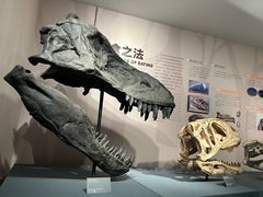 -自贡恐龙博物馆