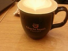 -Gloria Jean's Coffees