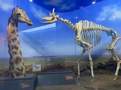 -国家自然博物馆