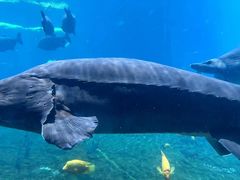 -珠海长隆海洋王国
